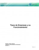 Tipos de Empresas y su Funcionamiento