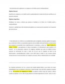 Derretimiento de los glaciares y su impacto en el ámbito social y medioambiental