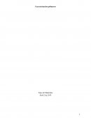 Caracterización polímeros Tipos de Materiales