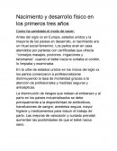 Nacimiento y desarrollo físico en los primeros tres años