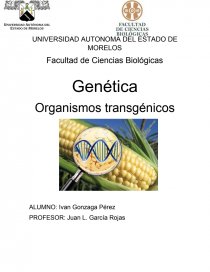 Organismos transgenicos: preguntas y pros y contras. Página 1