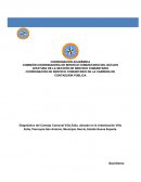 Diagnóstico del Consejo Comunal Villa Zoita, ubicado en la Urbanización Villa Zoita, Parroquia San Antonio, Municipio García, Estado Nueva Esparta