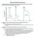 Seminario de fisiología cardiovascular N°1