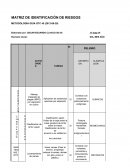 MATRIZ DE IDENTIFICACIÓN DE RIESGOS