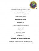 EVOLUCIÓN DEL HOMBRE ANTROPOLOGÍA SOCIAL