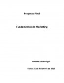 Proyecto Final Fundamentos de Marketing