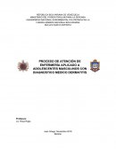 PROCESO DE ATENCIÓN DE ENFERMERÍA APLICADO A ADOLESCENTES MASCULINOS CON DIAGNOSTICO MEDICO DERMATITIS