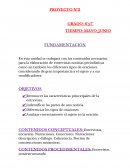 PROYECTO N°2 GRADO: 6°y7°