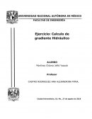 Calculo de Gradientes Hidraulicos