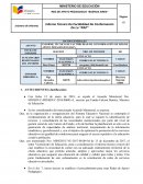 INFORME TÉCNICO DE FACTIBILIDAD DE CONFORMACIÓN DE RED DE APOYO PEDAGÓGICO (RAP)