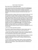 Idea de negocio: Estudio técnico