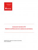 Medición de eficiencia de cadena de suministros, sumativa 5