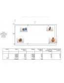 Análisis Conclusión BCG