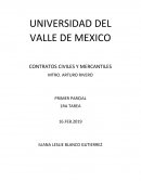 CAUSAS DE NULIDAD ABSOLUTA Y RELATIVA EN LOS CONTRATOS