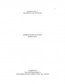 REINDUCCION DE DESARROLLO DE SOFTWARE PRACTICA EMPRESARIAL