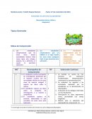 Tópico Generador. Metas de Comprensión