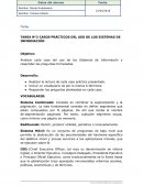 TAREA N°2 CASOS PRÁCTICOS DEL USO DE LOS SISTEMAS DE INFORMACIÓN