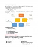 DESPRENDIEMIENTO DE RETINA. LESIONES PREDISPONENTES