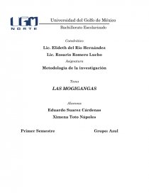 LAS MOGIGANGAS. Página 1