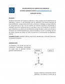 Reconocimiento de compuestos del carbonilos