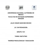 TEORÍAS PSICOLÓGICAS Y EDUCACIÓN