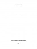 GUÍA DE POSCONFLICTO