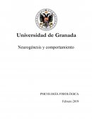 Neurogénesis y comportamiento PSICOLOGÍA FISIOLÓGICA