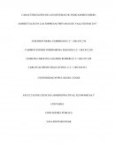 CARACTERIZACIÓN DE LOS SISTEMAS DE INDICADORES MEDIO AMBIENTALES EN LAS EMPRESAS PRIVADAS DE VALLEDUPAR 2017