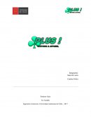 Lienzo Canvas para modelo de negocio – Análisis