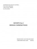 REPORTE No.4 BEBIDAS CARBONATADAS