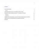 LAS NACIONES UNIDAS Industrialización