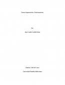 Ensayo Segmentación y Posicionamiento