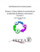 Ensayo: ¿Cómo influye la economía en la elección de Bienes y Servicios?