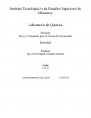Proyecto Ética y Ciudadanía para el Desarrollo Sustentable