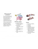 ¿Qué es una crisis convulsiva?