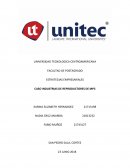 ESTRATEGIAS EMPRESARIALES CASO INDUSTRIAS DE REPRODUCTORES DE MP3