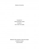 Variables del Análisis DOFA