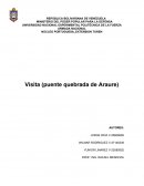 Visita (puente quebrada de Araure)