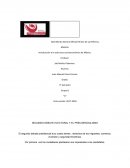 Introducción a la estructura socioeconómica de México