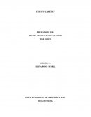 Ensayo sobre el libro "la meta"