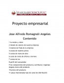 Proyecto empresarial