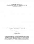 LIMITACIONES DEL EJERCICIO DE TRABAJO SOCIAL EN SU DESARROLLO HISTORICO