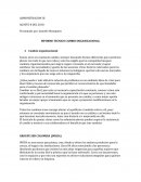 INFORME TECNICO CAMBIO ORGANIZACIONAL