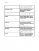 Actividades de filosofia