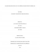 ANALISIS ORGANIZACIONAL DE UNA EMPRESA MADECENTRO COLOMBIA SAS