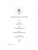 Licenciatura en Informática