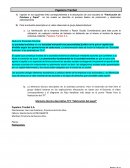 Practica Profesionalizante higiene y seguridad en el trabajo