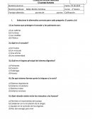 Prueba de Ciencias Naturales El cuerpo humano