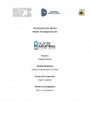 Analisis de sistema empresa Cluster Industrial