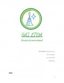 Informe empresa SAI LTDA